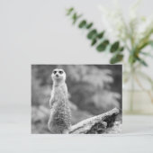 『夜番』 ポストカード (スタンド正面)