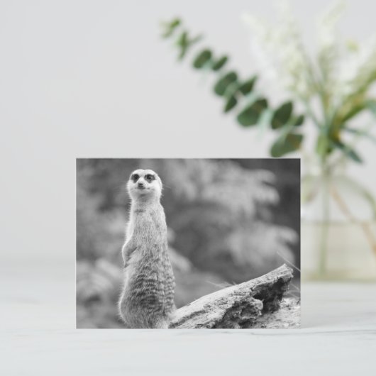 『夜番』 ポストカード (スタンド正面)