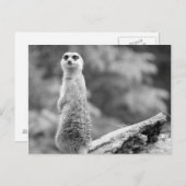 『夜番』 ポストカード (正面/裏面)