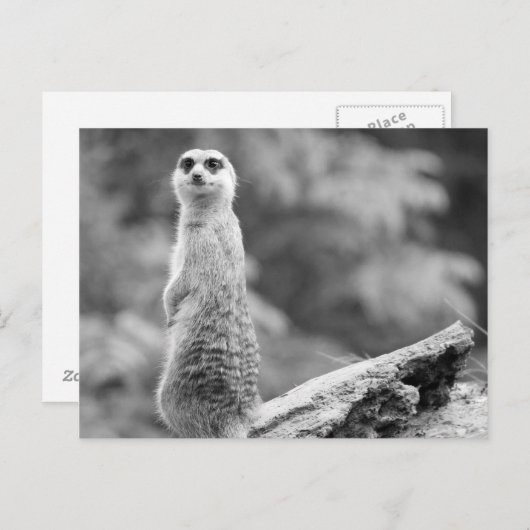 『夜番』 ポストカード (正面/裏面)