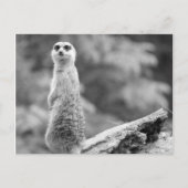 『夜番』 ポストカード (正面)