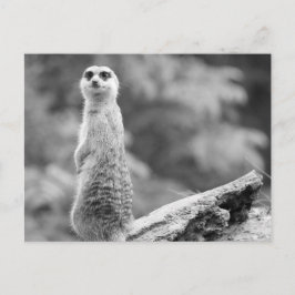 『夜番』 ポストカード