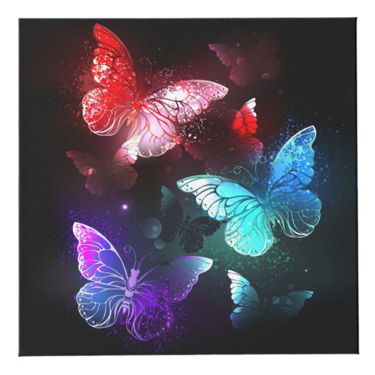 夜白熱［赤熱］光を放つの蝶3匹 フォトキューブ (右)