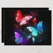 夜白熱［赤熱］光を放つの蝶3匹 案内状 (正面/裏面)