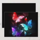 夜白熱［赤熱］光を放つ背三蝶 案内状 (正面/裏面)