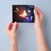 夜白熱［赤熱］光を放つ蝶 チラシ (手)