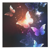 夜白熱［赤熱］光を放つ蝶 フォトキューブ (右)