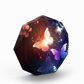 夜白熱［赤熱］光を放つ蝶 フォトブロック (左)