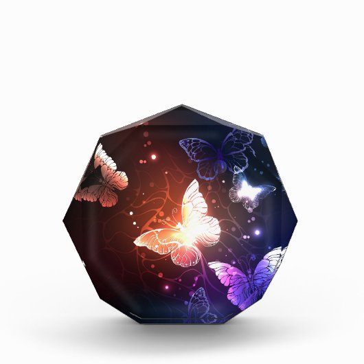 夜白熱［赤熱］光を放つ蝶 フォトブロック (正面)