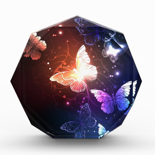 夜白熱［赤熱］光を放つ蝶 フォトブロック (正面)
