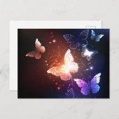 夜白熱［赤熱］光を放つ蝶 案内ポストカード (正面/裏面)