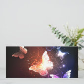 夜白熱［赤熱］光を放つ蝶 案内状 (スタンド正面)