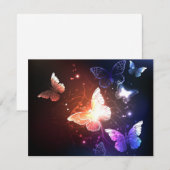 夜白熱［赤熱］光を放つ蝶 案内状 (正面/裏面)