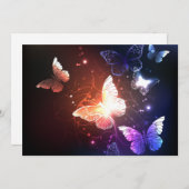 夜白熱［赤熱］光を放つ蝶 案内状 (正面/裏面)