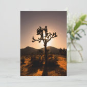 夜秋はジョシュア・ツリーから カード (スタンド正面)