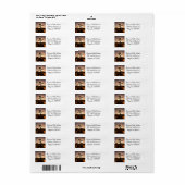 夜秋はジョシュア・ツリーから ラベル (フルシート)