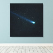 夜空の彗星 キャンバスプリント (インサイチュ (ウッドフロア))