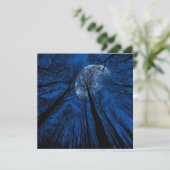 夜空の月 カード (スタンド正面)