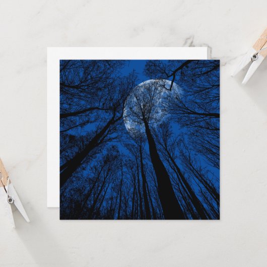 夜空の月 カード (正面/裏面インサイチュ)