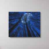 夜空の月 キャンバスプリント (正面)