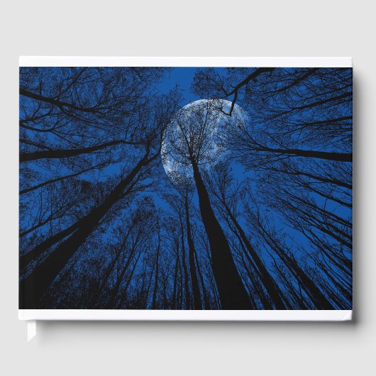 夜空の月 ゲストブック (正面)