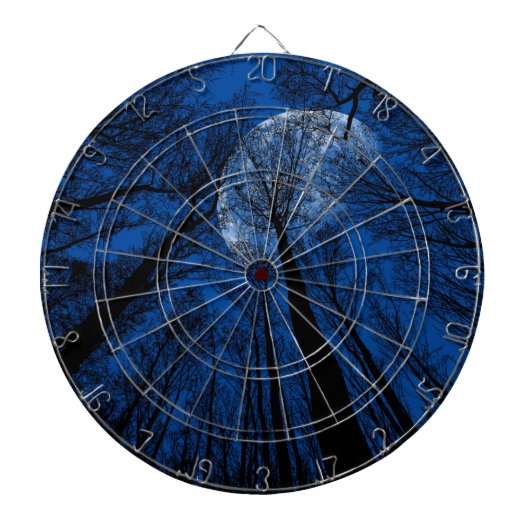 夜空の月 ダーツボード (正面)