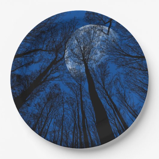 夜空の月 ペーパープレート (正面)