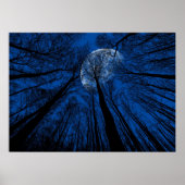 夜空の月 ポスター (正面)