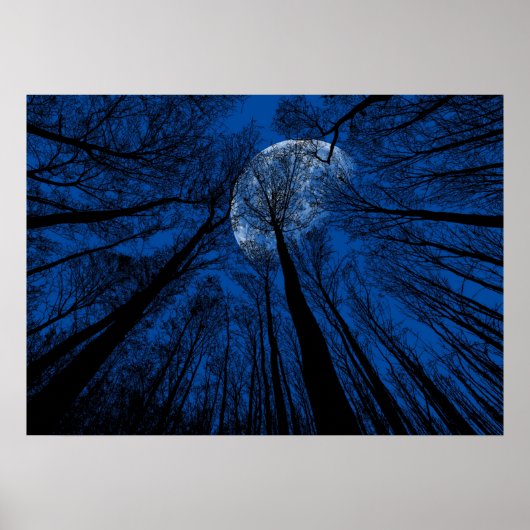 夜空の月 ポスター (正面)