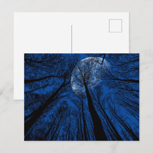 夜空の月 ポストカード (正面/裏面)