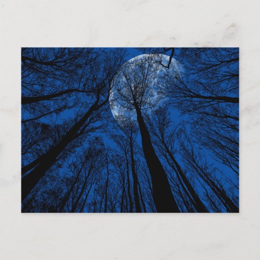 夜空の月 ポストカード (正面)