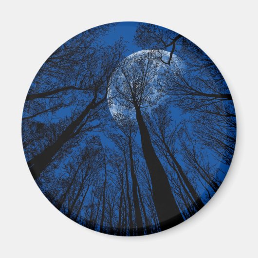 夜空の月 マグネット (正面)