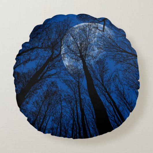 夜空の月 ラウンドクッション (正面)