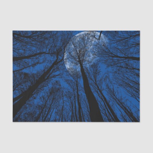 夜空の月 薄葉紙 (正面)