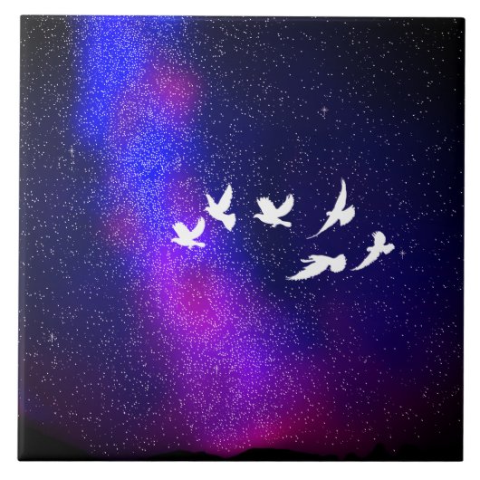 夜空 タイル (正面)