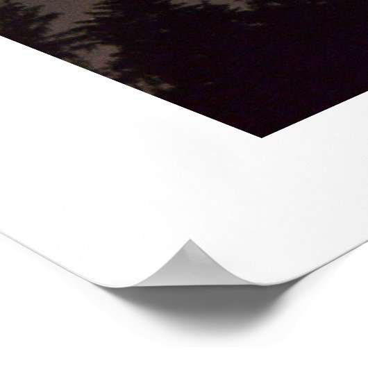 夜空 ポスター (角)