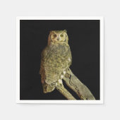 夜素晴らしの角フクロウ スタンダードカクテルナプキン (正面)