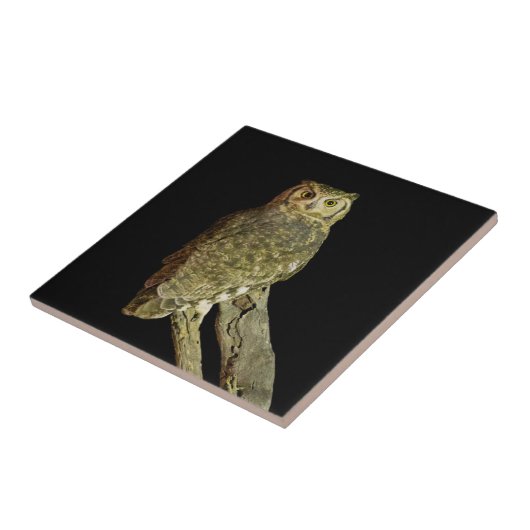 夜素晴らしの角フクロウ タイル (側面)