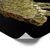 夜素晴らしの角フクロウ ポスター (角)