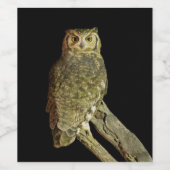 夜素晴らしの角フクロウ ワインラベル (シングルラベル)