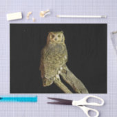 夜素晴らしの角フクロウ 薄葉紙 (クラフト)