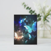 夜蝶の儚い舞 シーズンカード (スタンド正面)