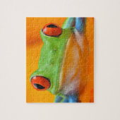 夜行便のアマガエルのパズル ジグソーパズル (縦)