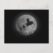 夜行性飛んでいる豚科 ポストカード (正面)