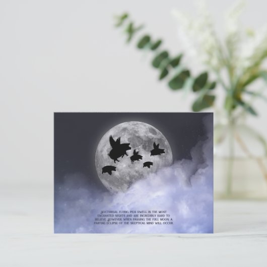 夜行性飛んでいる豚 ポストカード (スタンド正面)