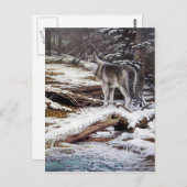 夜郵便はがきの端 ポストカード (正面/裏面)