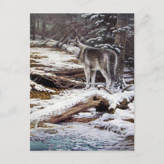 夜郵便はがきの端 ポストカード