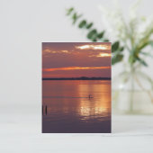 夜間パドルボーダー戻り ポストカード (スタンド正面)