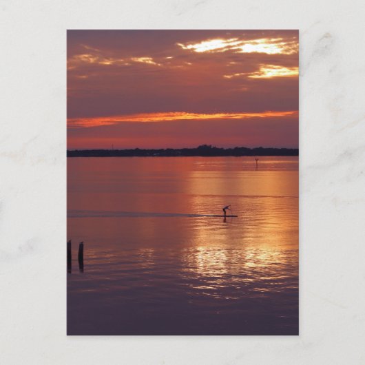 夜間パドルボーダー戻り ポストカード (正面)