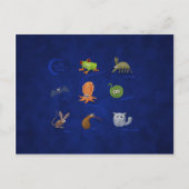 夜間動物 ポストカード (正面)